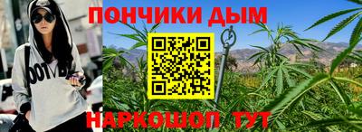 spice Камышлов