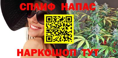 spice Камышлов